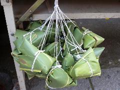 斑葉月桃的葉子可包粽子，具有特殊香味(蔡秀錦攝)