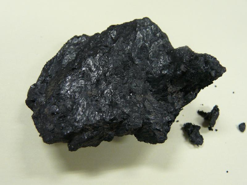 煤-木山層-1.JPG